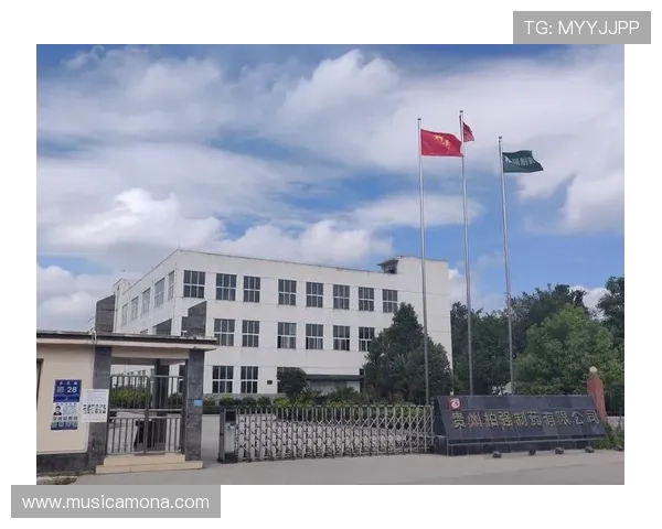 d88尊龙集团多元化娱乐产业布局引领行业新风尚