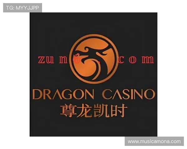 探索尊龙凯时网址登录线路的多种功能,让您的访问更加便捷